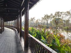 -池杉湖湿地公园