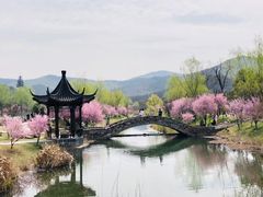 -石塘人家