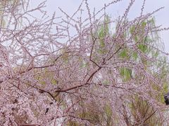 -三里河公园