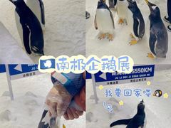 -郑州银基冰雪世界