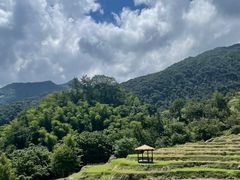 -石台牯牛降景区
