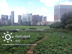 附近湿地-龙环葡韵住宅式博物馆