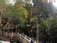 -清溪大王山森林公园
