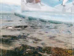 -洛阳龙门海洋馆