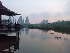 -前关湿地公园