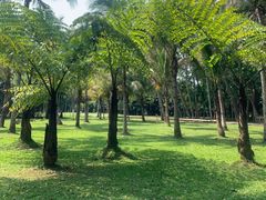 -中国科学院西双版纳热带植物园