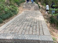 -紫金山山顶公园
