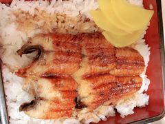 -禾绿回转寿司(苏宁广场店)