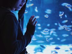 -海合安成都极地海洋公园