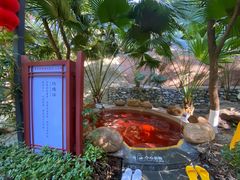 -韶关经律论国际酒店温泉