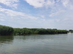 -白洋淀景区