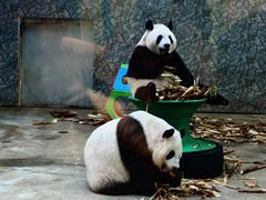 -西安秦岭野生动物园