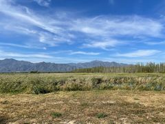 -野鸭湖国家湿地公园