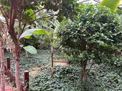 -忆江南·生态餐饮宴会酒店