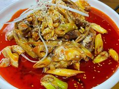 -青城甲(青城山店)