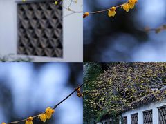 -惠山古镇·寄畅园