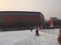 -沈阳奥体冰雪嘉年华