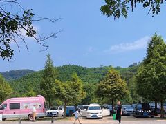 -天目湖松岭竹海漂流