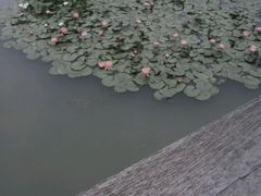 android_upload_pic-徐州乐园加勒比水世界