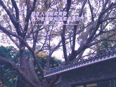 -四海公园(南山区)