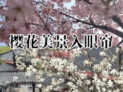 -堤角公园