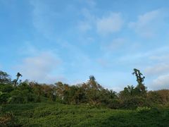 -海南热带野生动植物园