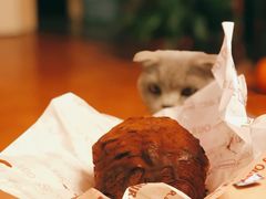 -OUR Bakery(三里屯太古里店)