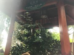 -碧水湾温泉