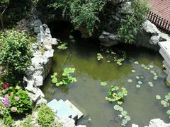 android_upload_pic-漫渡庄绿岛花园•隐世庭园菜(滨湖店)