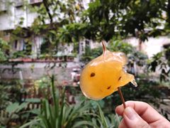 -小洲村
