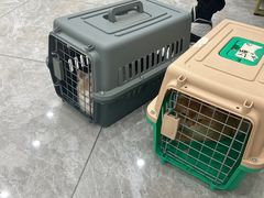 -瑞鹏宠物医院·骨外科·心肾科·肿瘤科(九亭店)