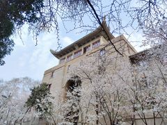 -武汉大学-樱园
