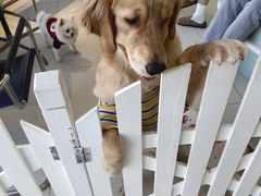 -怪兽屋·羊驼·猫咖·狗咖(俊华广场店)