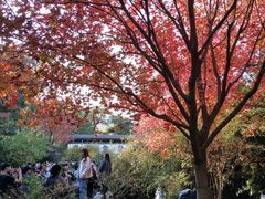 -香山公园-东宫门售票处