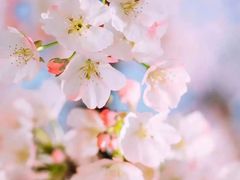 -7分甜(钟楼龙湖店)