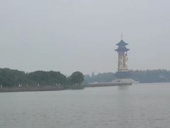 -溱湖国家湿地公园