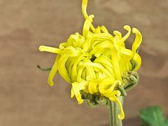 -共青国家森林公园-售票处