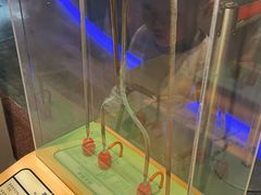 -香港科学馆