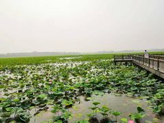 -天津东丽湖风景区