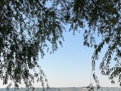 -丁香湖公园