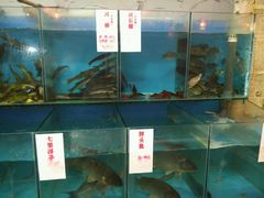 android_upload_pic-鱼窝棚柴火铁锅炖(富山屯店)