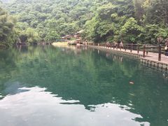 -祁门牯牛降观音堂风景区
