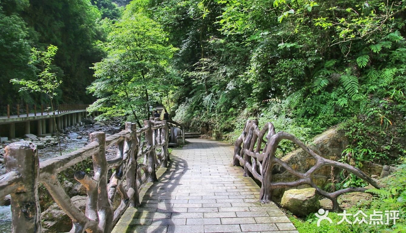 宜昌小众旅游好去处——三峡竹海景区