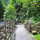宜昌小众旅游好去处——三峡竹海景区