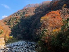 -光雾山旅游景区