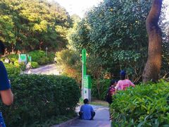-火炉山森林公园