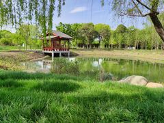 -梁鸿国家湿地公园