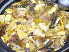 -菌之家·专业纯野生菌火锅·特色炒菌