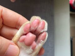 -牛喵喵铜锅牛肉馆