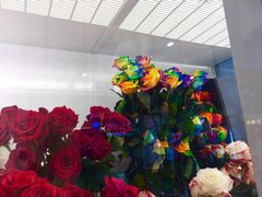 -Blueglass酸奶(财富购物中心店)